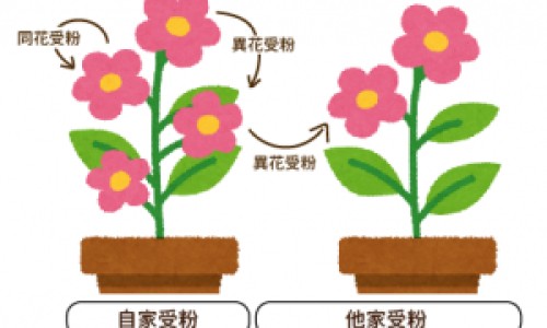 x线检查和ct检查的区别-x线跟ct区别网- x线和ct哪个更清晰知识,分享X线和CT哪个更准